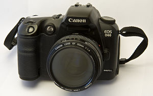 Canon D60 brighterorange.jpg